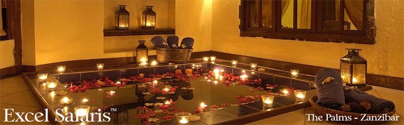 palms zanzibar tanzania